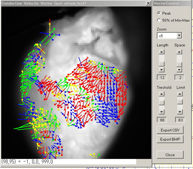 download radiological imaging