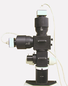 AmScope 30W LEDイルミネーターと10MPカメラ付きステレオ7X-45X